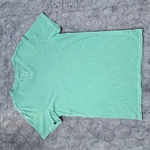 Men's Light Green American Eagle V-Neck T-Shirt